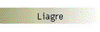 Liagre