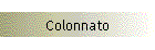 Colonnato